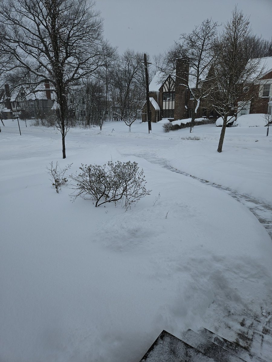 Warren Snow tweet media