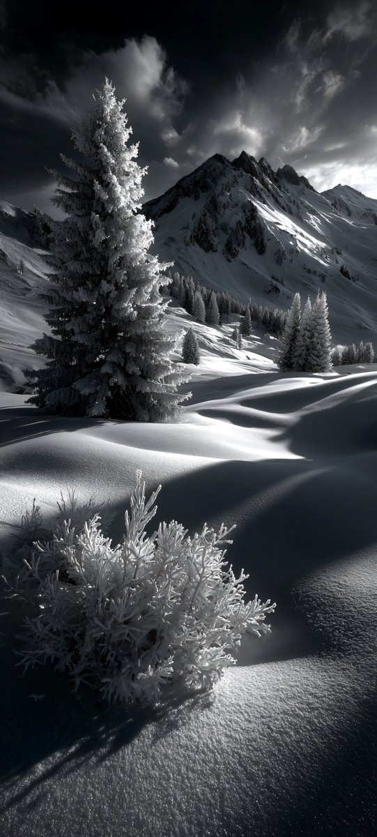 Halleyapps's tweet photo. Monochrome mastery with absolute high acutance on frozen micro-displacement. Dramatic negative space and eternal shadows carve primal geological force. Timeless hyperreal minimalism.
#HighAcutance #MicroDisplacement #VisualEntropy https://t.co/qSVdFrEORD
