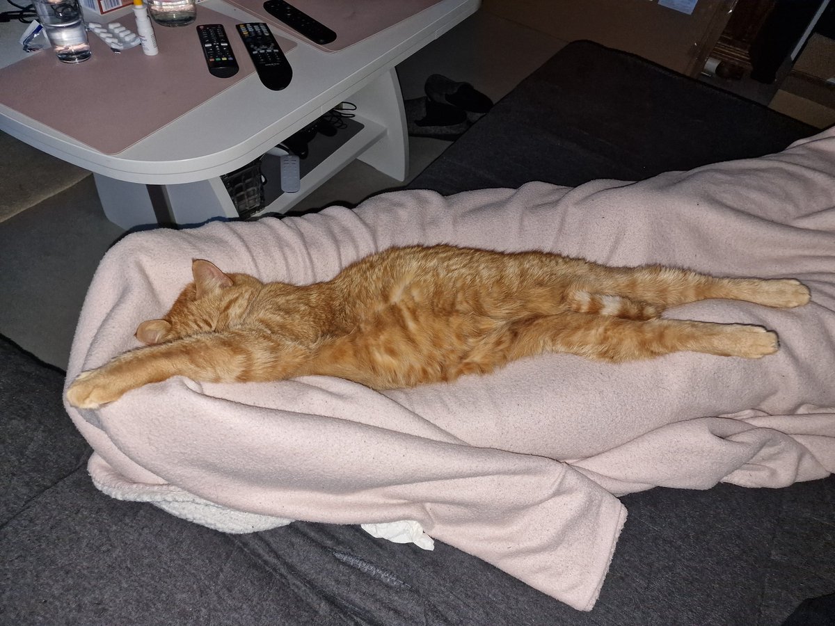 wenn Ihr mich sucht, bin im Garten tweet media