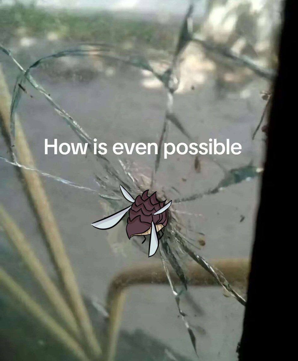 ceratonoi's tweet image. That fucking boss that I hate