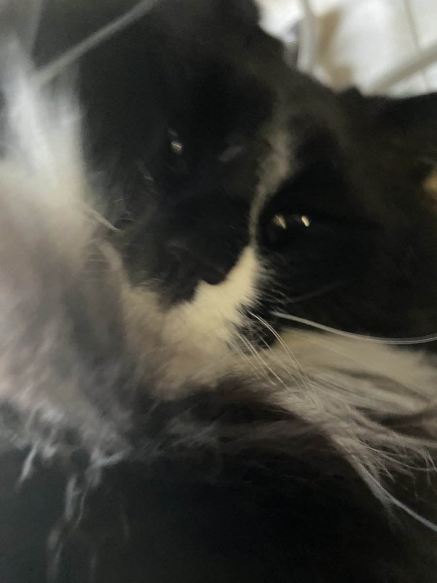 Terraria update in 1 more day…