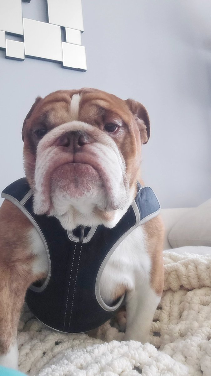 Rae Elle tweet media