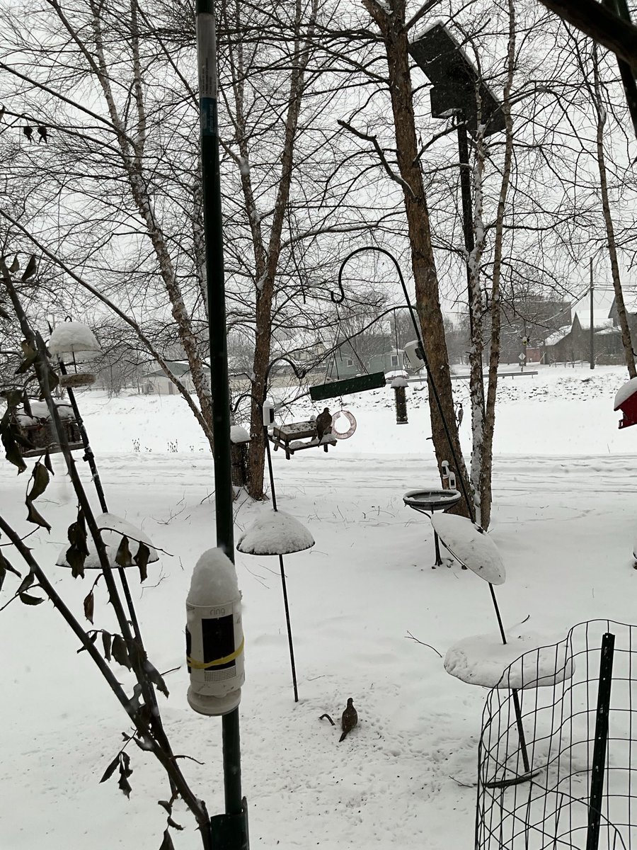 Bob Riter tweet media