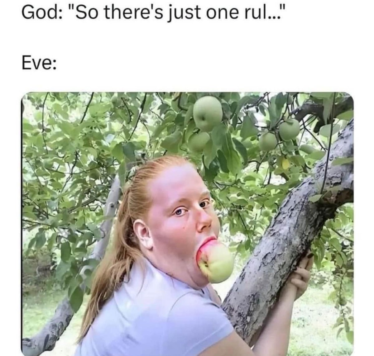 Women were the reason humanity was doomed for years.

Eve was the reason Adam got kicked out of the Garden of Eden.

And now we are allowing Women to destroy society again through Feminism allowing things like

LGBTQ
Mass Migration
Abortion
Open Borders