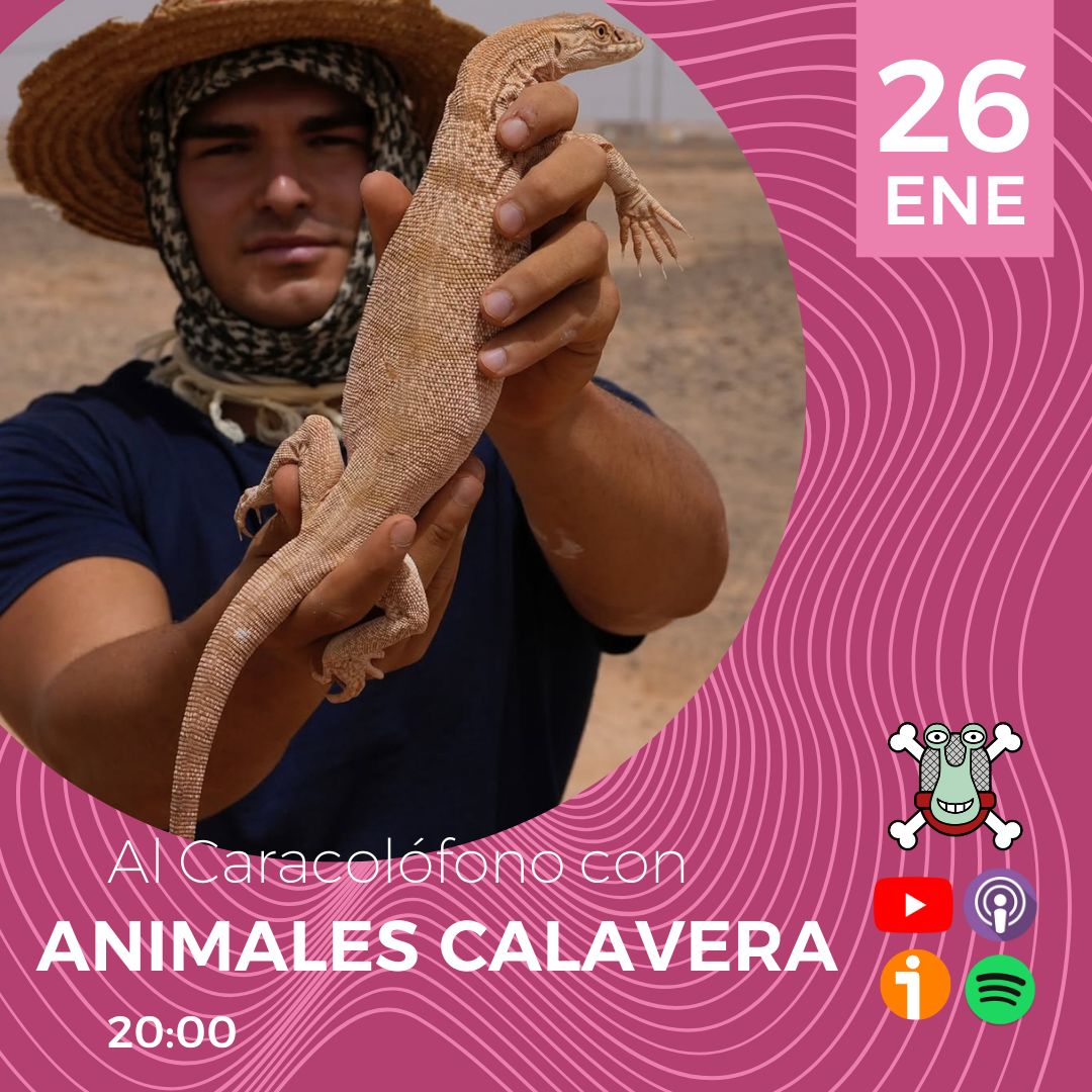 Hoy estaremos Al Caracolófono con Manuel Fernández (Animales Calavera). 

¡Os esperamos a las 20:00!