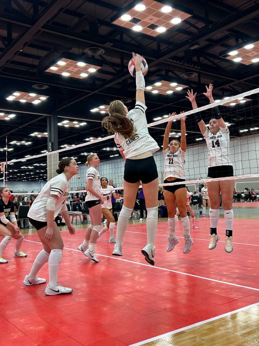 Gym Rats Volleyball tweet media