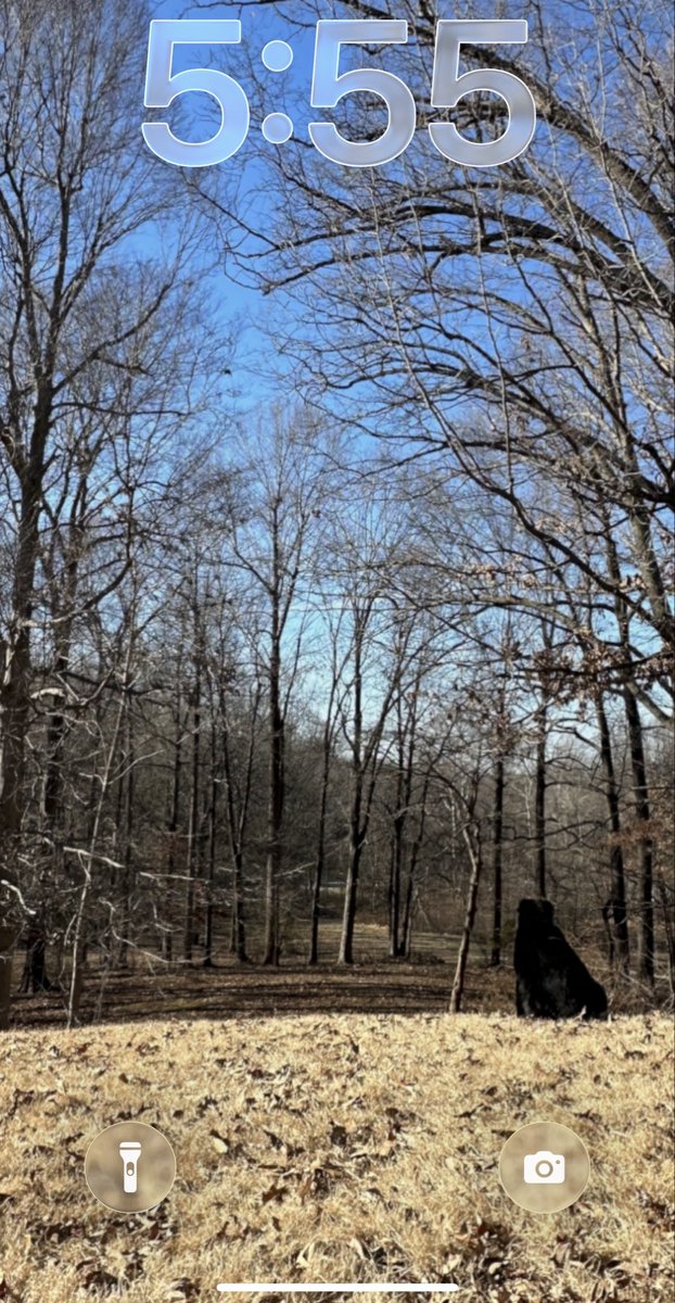 Sativa Jasmin tweet media