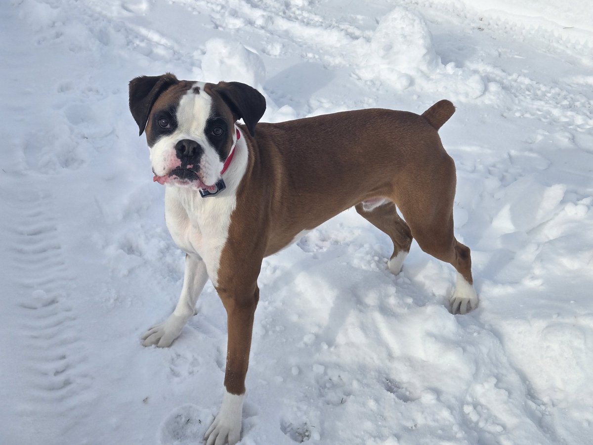 ELATeach#5 tweet media