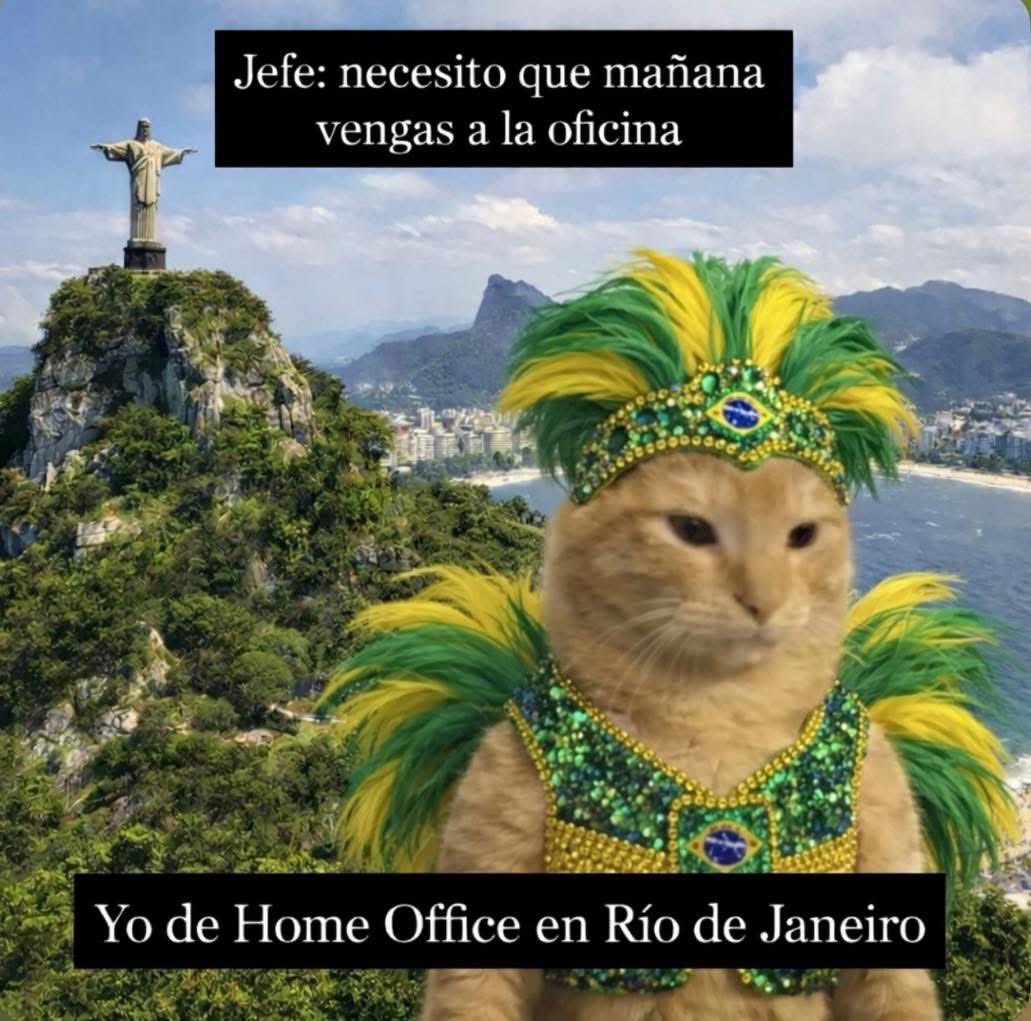 memefeos's tweet image. 