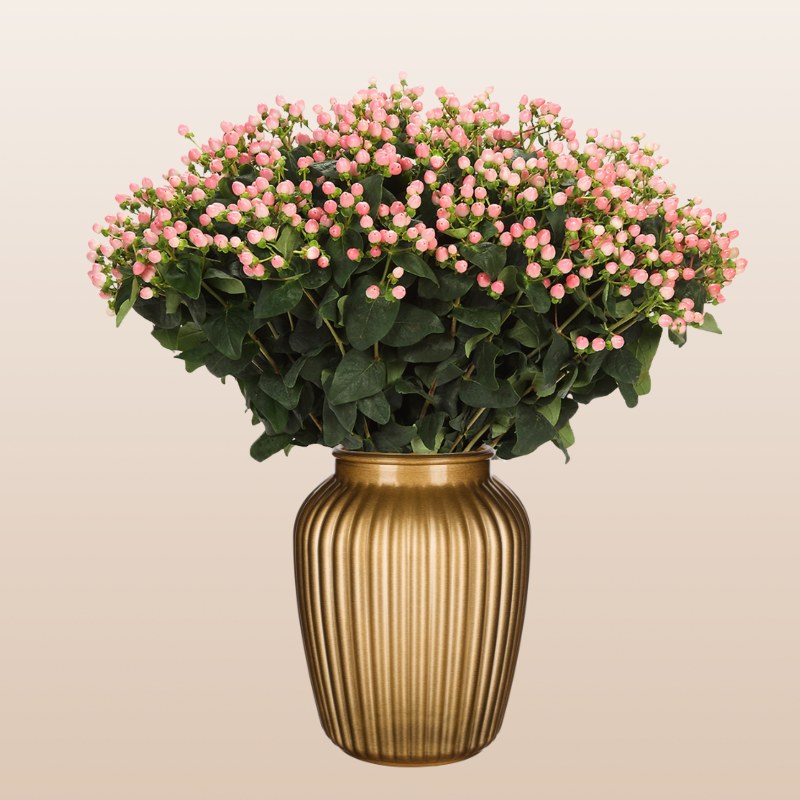 ebloomsdirect's tweet image. 🍑 Peach Hypericum
Warm, soft tones that bring elegance and romance.
Perfect for weddings &amp;amp; modern palettes.
#WeddingFlorals #Hypericum
