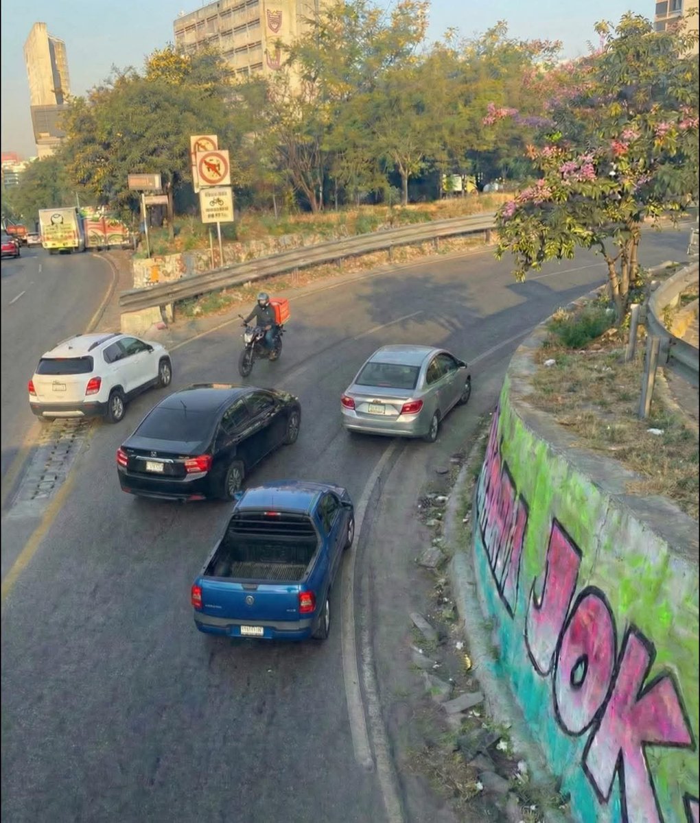 Yo regresando por donde vine para no perderme