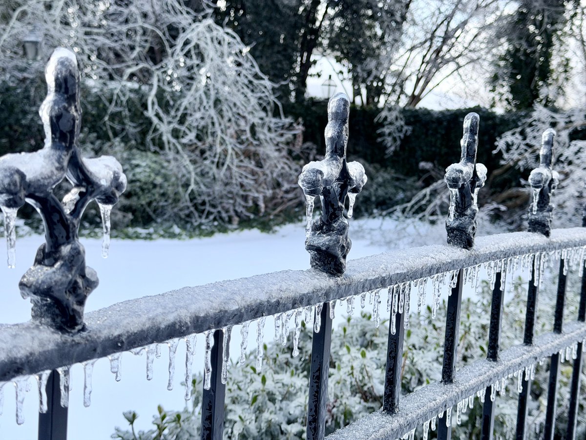 Frozen wrought iron flour de lis in Monroe, Louisiana #lagov #lalege #WinterStormFern