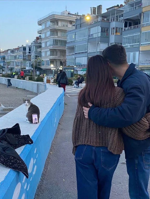 Rainmaker1973's tweet image. This couple in Turkey using a cat as a tripod