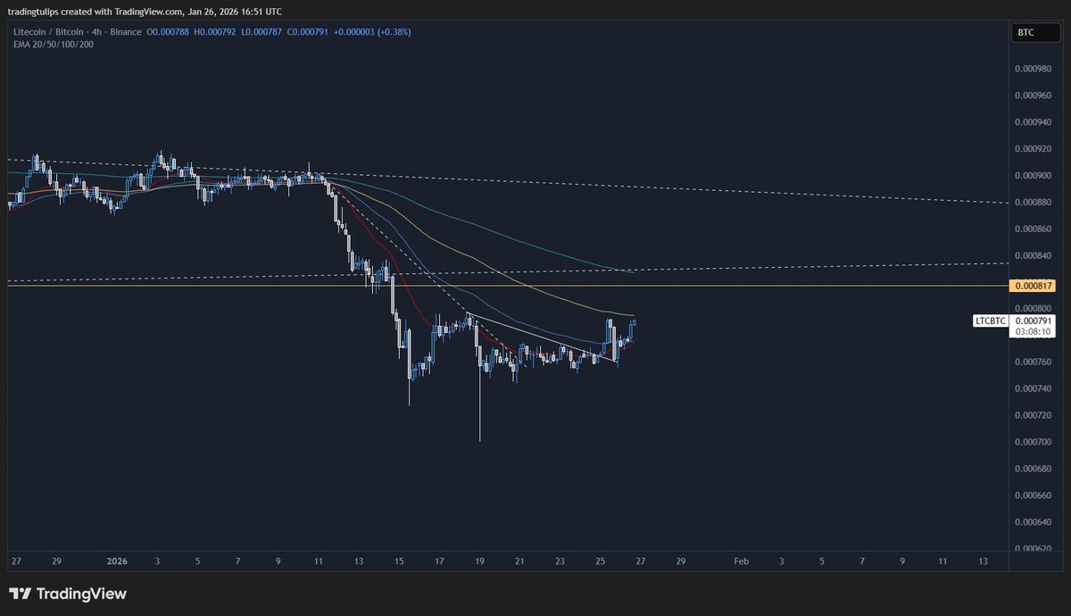 tradingtulips🌷 tweet media