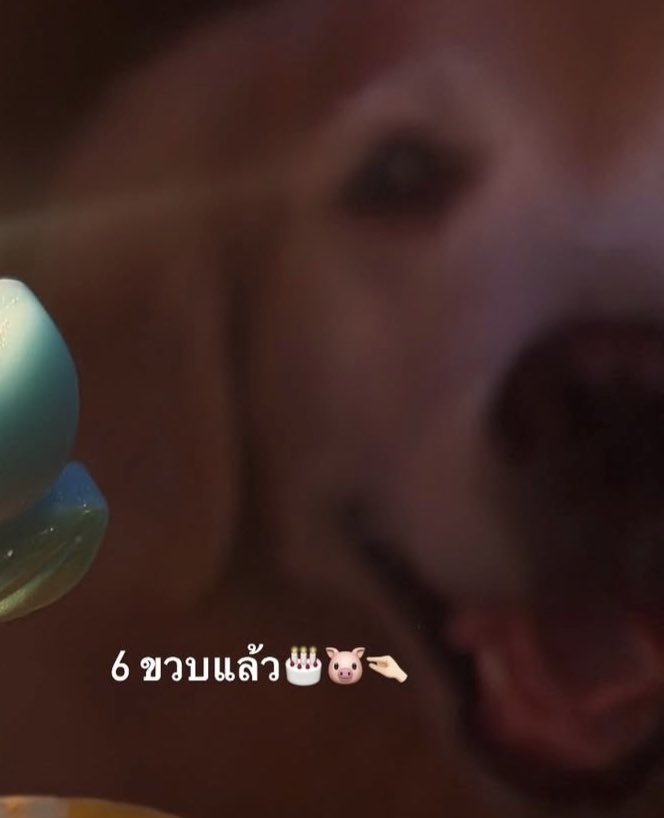 yanwnr's tweet image. แล้วเฮียเอสฮีรักน้องชายฮีมากกกกกก 🐷🤏🏻 ทำแบรนด์เสื้อผ้าก็มีคอลเลคชั่นของ pb โดยเฉพาะ ได้ดอกไม้ก็เอาไปอวดพีบี Merchandise ลูกชายเวสลีย์อันไหนพีบีใส่ได้ก็เอาไปใส่ให้ เอ็นดูเนอะ พีบีทนหน่อยน้าเดี๋ยวพี่เอสก็โตแล้ว 😆