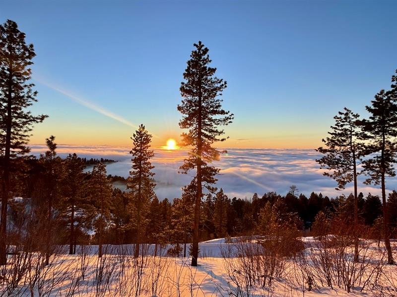 Visit Boise tweet media