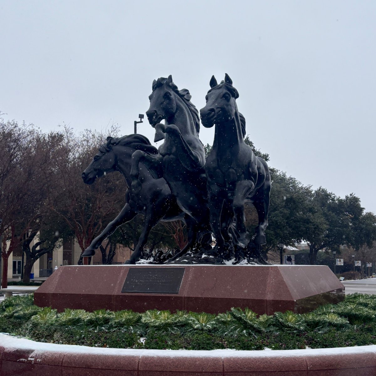 Simmons School of Education & Human Development tweet media