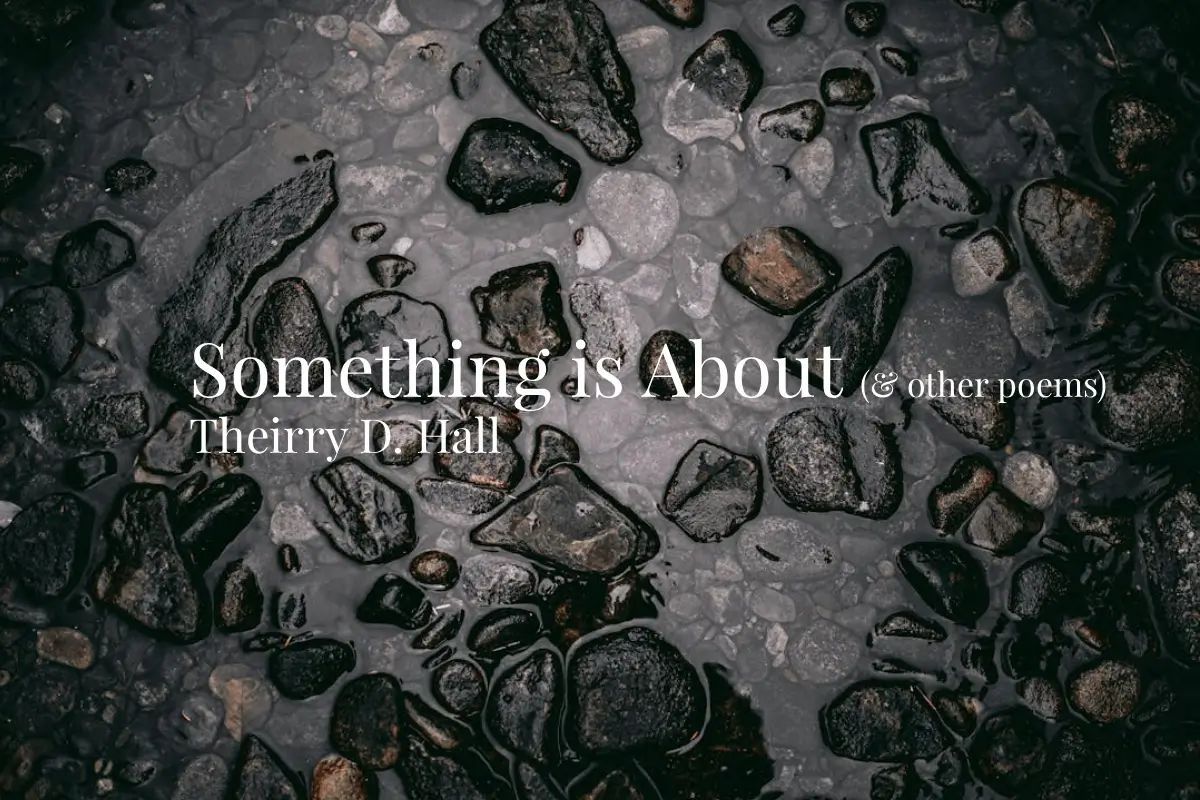 Bristol Noir tweet media