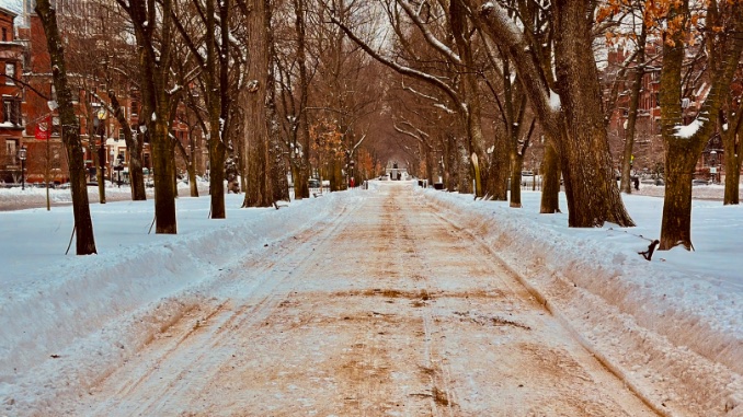 Public vs Private provision of public good.

Late AM run...

Sidewalks (private): uncoordinated mess: some cleared some not; some well some terrible.

Boulevard (public): 10 blocks consistently cleared, medium quality (fine for run/walk).