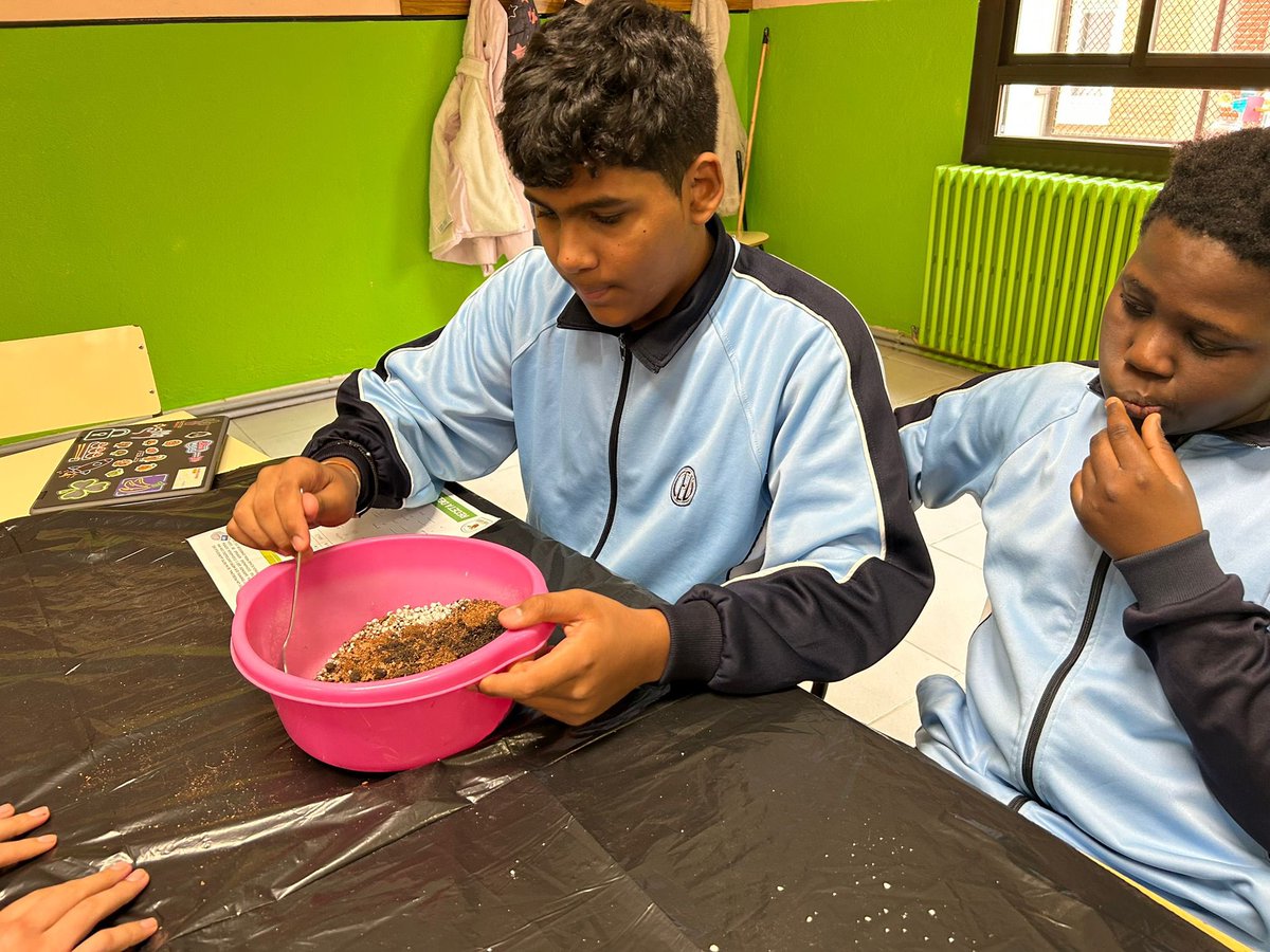 csanalfonso's tweet image. Entre semilleros, estaciones meteorológicas, lombrices 🪱 y perlitas  🤩 vamos preparando nuestro #miniinverdadero. ¿Saldrán tomates?  ¿Lechugas? ¡Pronto lo sabremos!
#VerdeBendito
#ABP #1ESO 
#colegiosHHCC