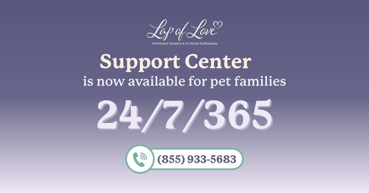 We’ve expanded our availability. Our Veterinary Care Coordinators are now available 24/7, 365 days a year to support pet families anytime.

Learn more: hubs.li/Q040kz1_0

#PetCare #veterinary