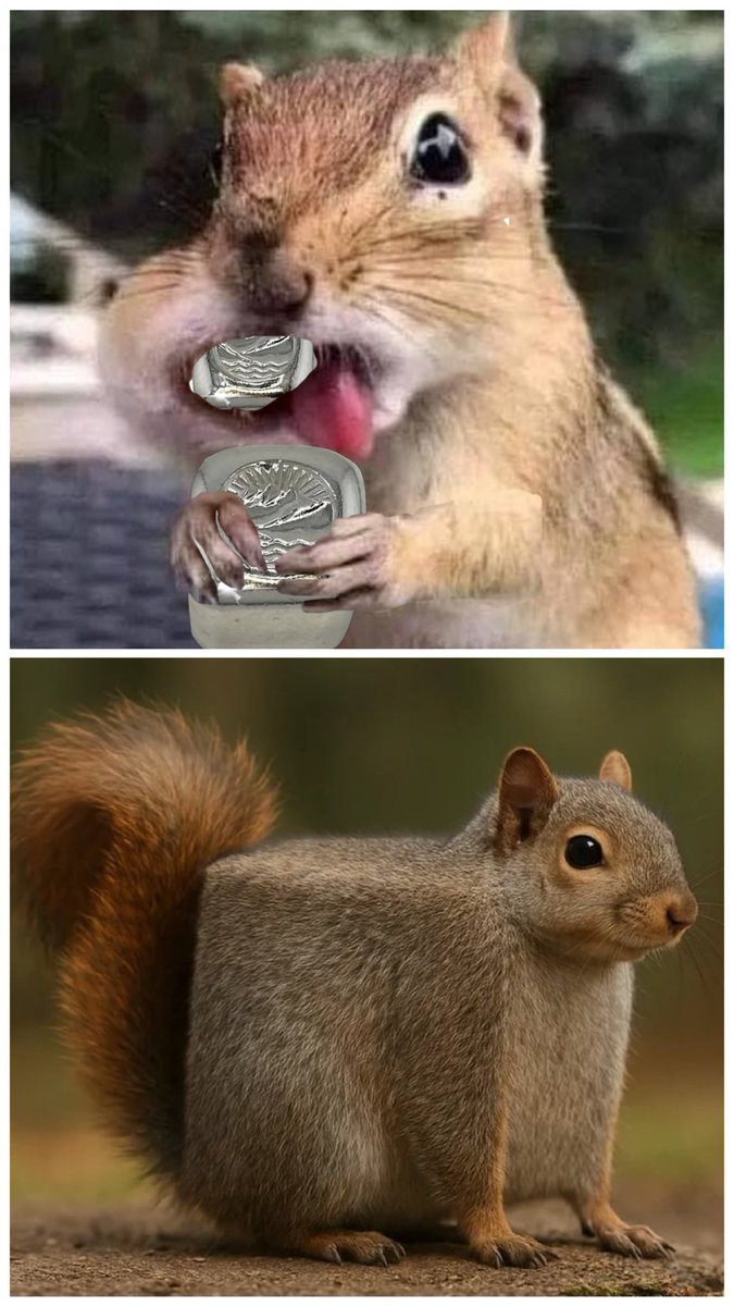 SilverCrusader tweet media