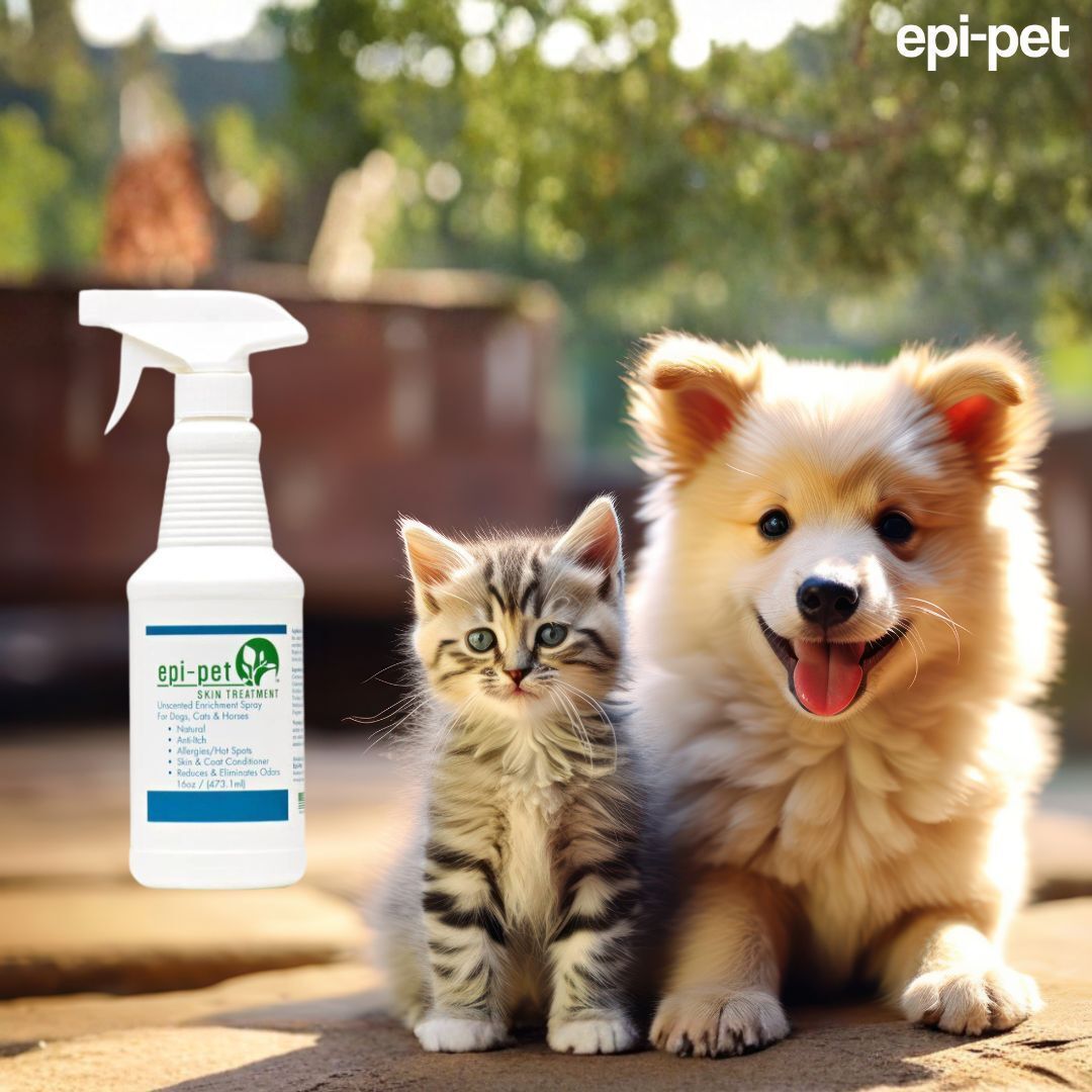 epipet's tweet photo. Give your pet the gold standard in skin care! 🏆 Our veterinarian-developed Epi-Pet Skin &amp; Coat Enrichment Spray is a natural, non-medicated formula designed to tackle dry, flaky, and itchy skin. 🐾✨
🛒 Shop now via the link in our bio! 
#EpiPet #VetRecommended #PetSkinCare https://t.co/NXqG8eundN
