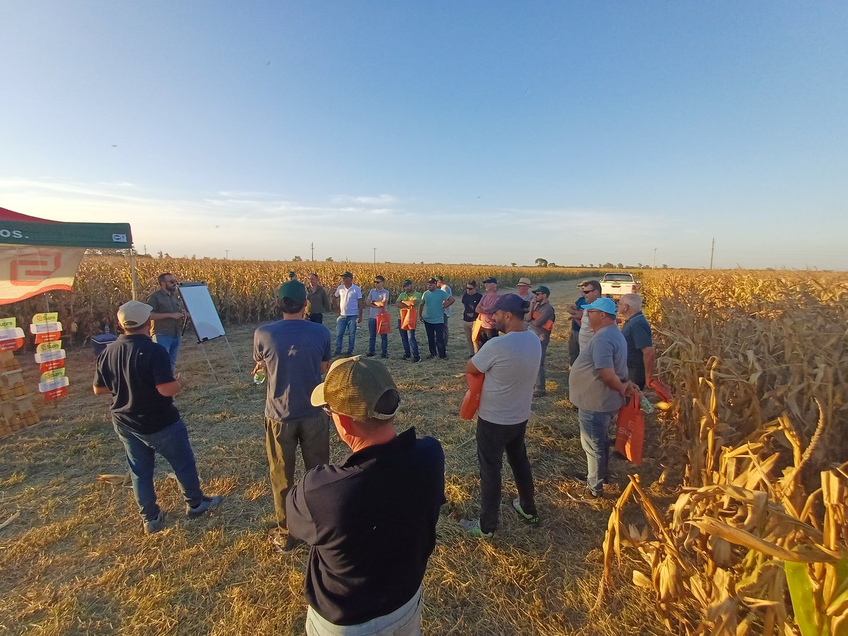 Mauri Acosta tweet media