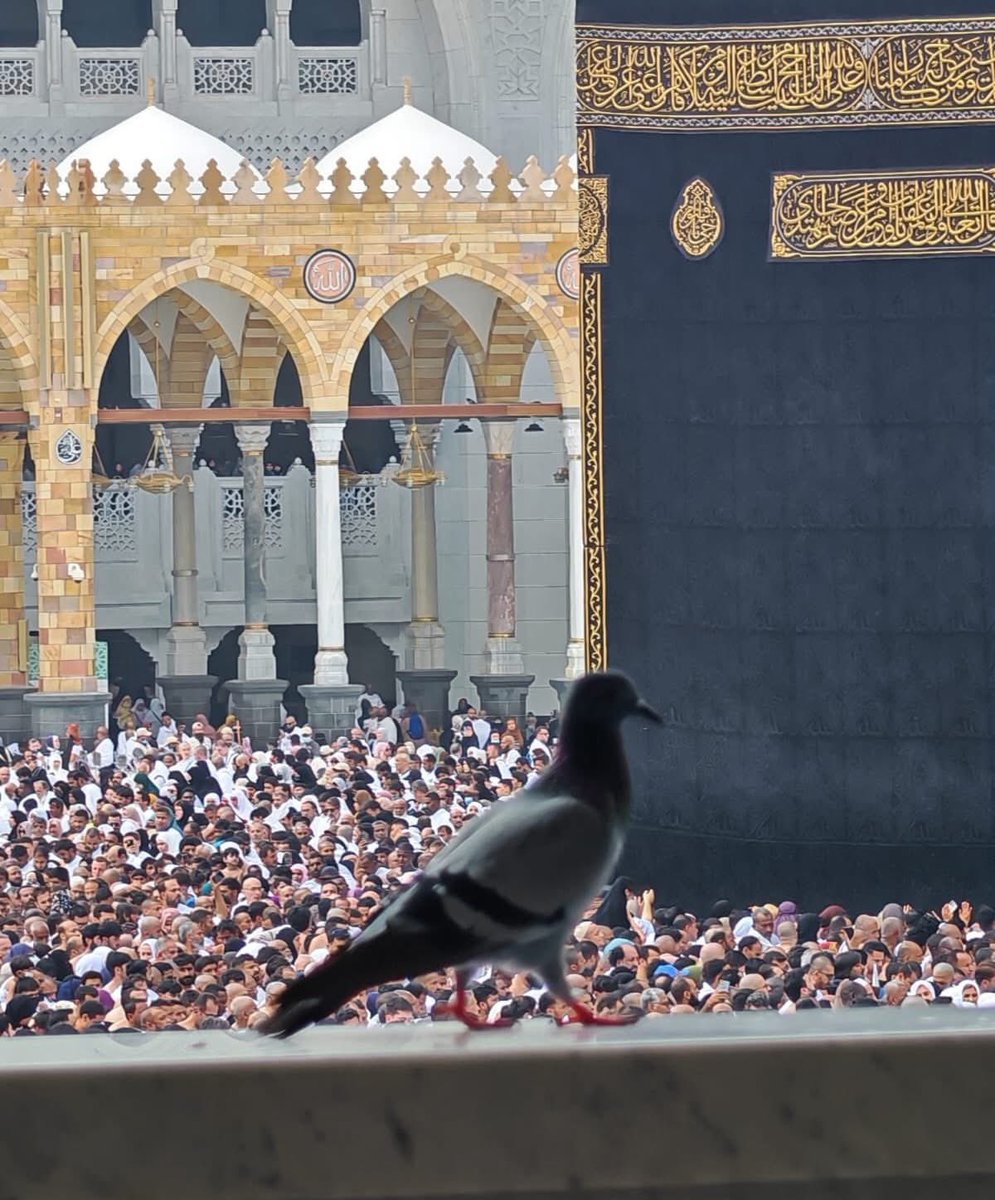 كُل المَدَائِن وإن جَلّت مَحَاسِنُهَا 
لَيسَتْ كَ مَكَّة إجْلَالاً وَ تَعظِـيمَا ❤️