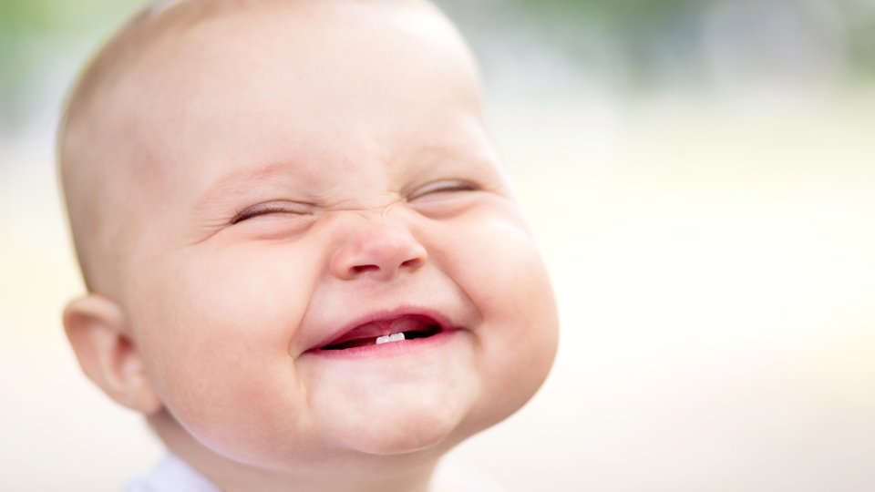 TheLastRefuge2's tweet image. 