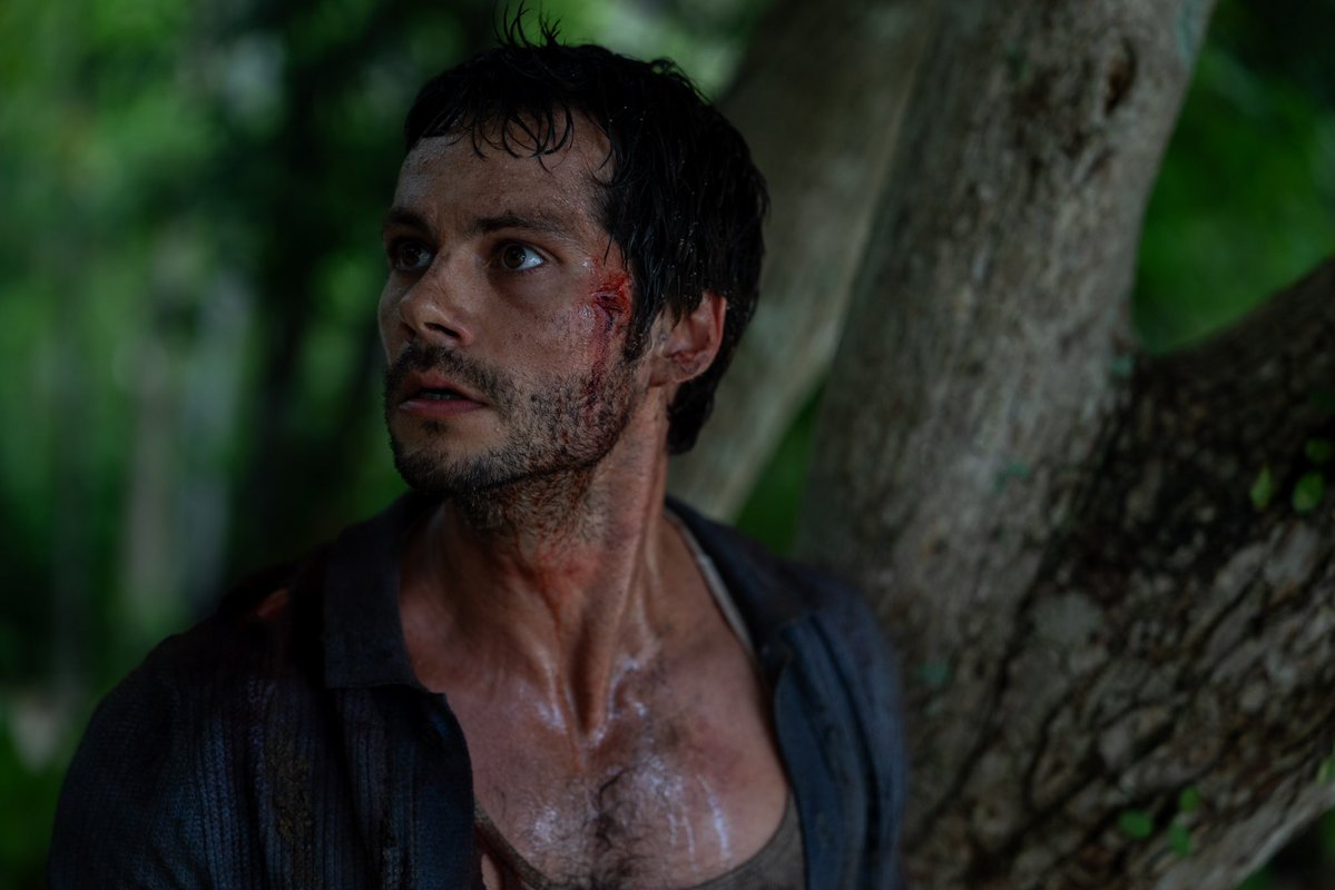 almanaquedisney's tweet image. 🚨 SAM RAIMI VOLTOU!

‘Socorro!’ é uma ótima surpresa e que abre o ano da Disney nos cinemas com muita energia.

É uma comédia sombria que escala em tensão e que vai constantemente te surpreendendo de formas sádicas, mas sempre divertidas.

Nossa crítica: almanaquedisney.com.br/post/socorro-c…