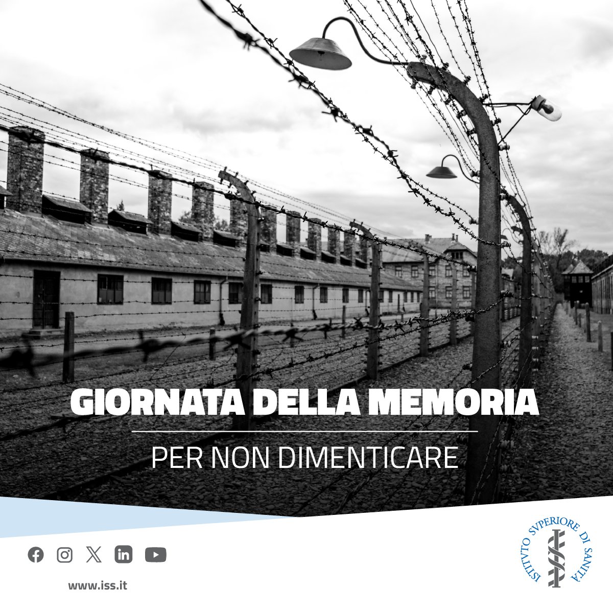 Istituto Superiore di Sanità tweet media