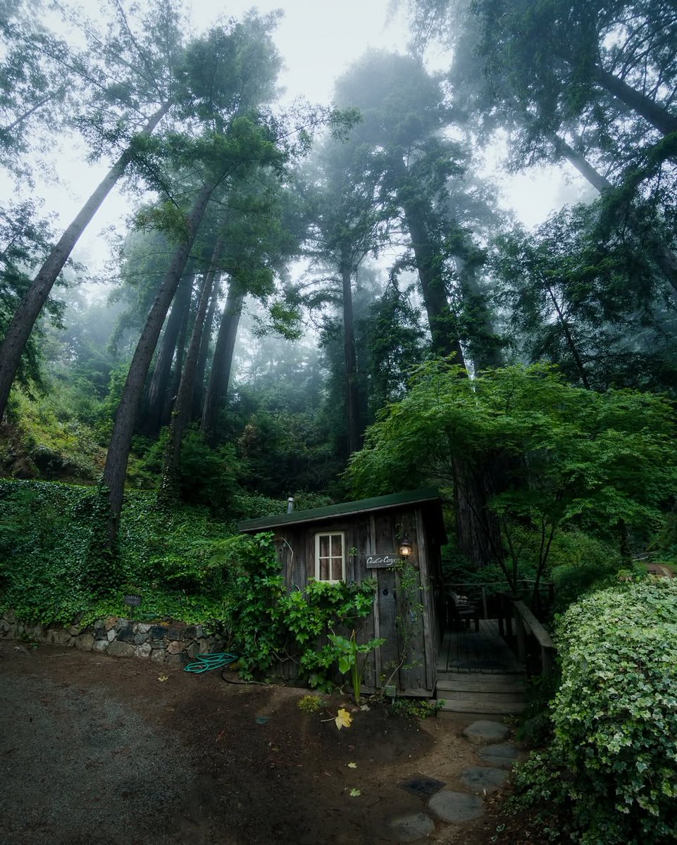 visualsofearth1's tweet image. Big Sur, California