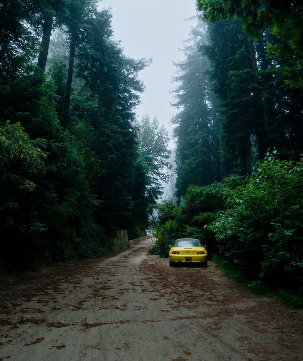 visualsofearth1's tweet image. Big Sur, California