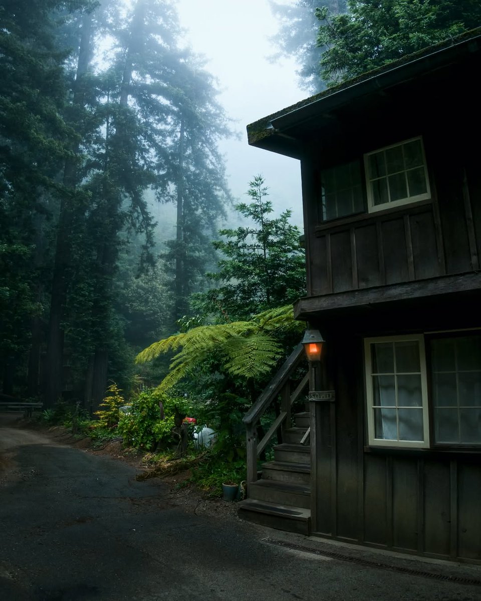 visualsofearth1's tweet image. Big Sur, California