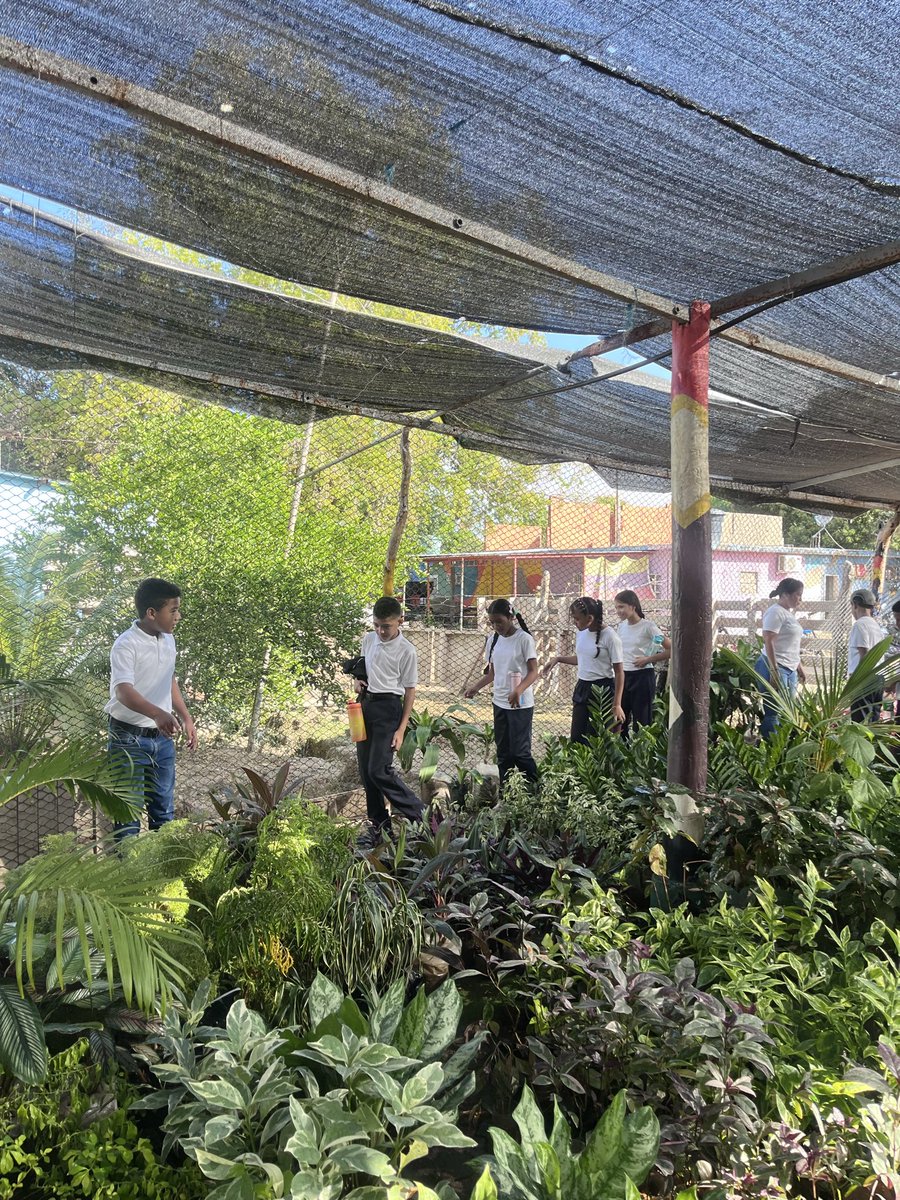🌿 Formando conciencia desde el Vivero Cira Tremaria