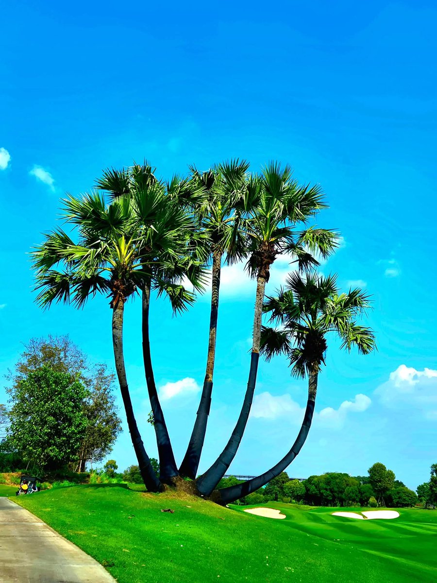 하은Ha Run (@haeunn___) on Twitter photo 