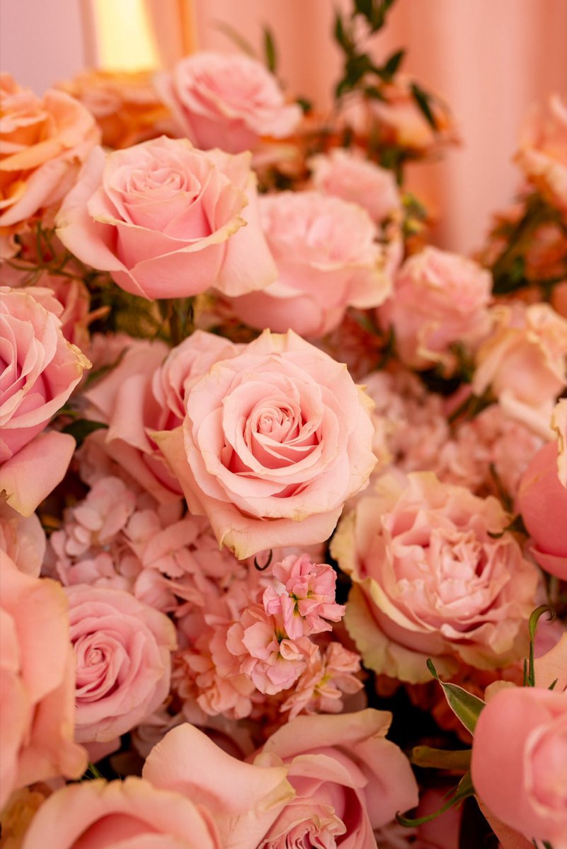 We can’t wait to love on you baby girl 💕☁️✨🥹