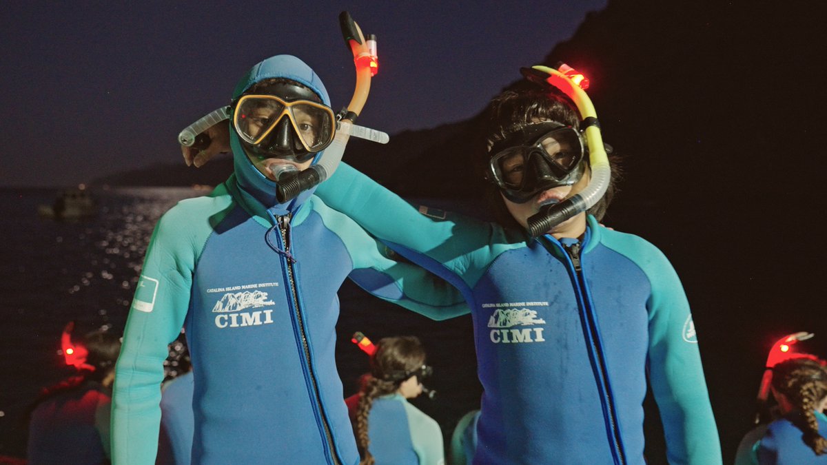 Catalina Island Marine Institute tweet media