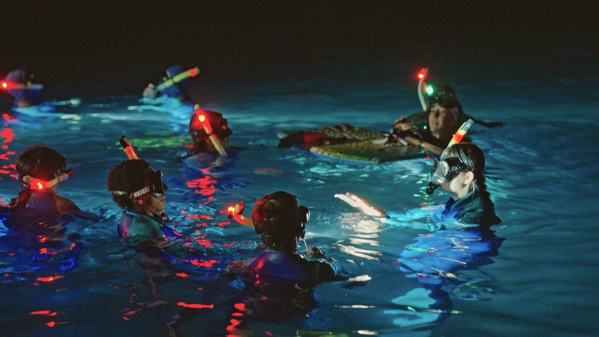 Catalina Island Marine Institute tweet media