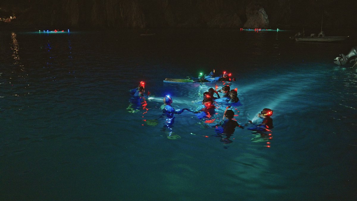 Catalina Island Marine Institute tweet media