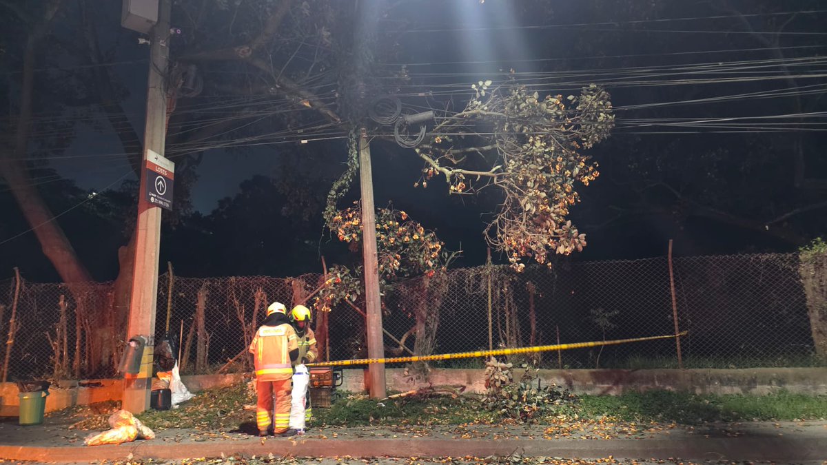 ✓ 22:23 | Labor de Prevención Vía Departamental Ruta 25AN19 PR 00+600 (Estación Coralinas) – Personal bomberil asegura árbol en riesgo suspendido en cables. Área señalizada. Reporte a EPM iniciado. #Girardota #Emergencias #Prevención