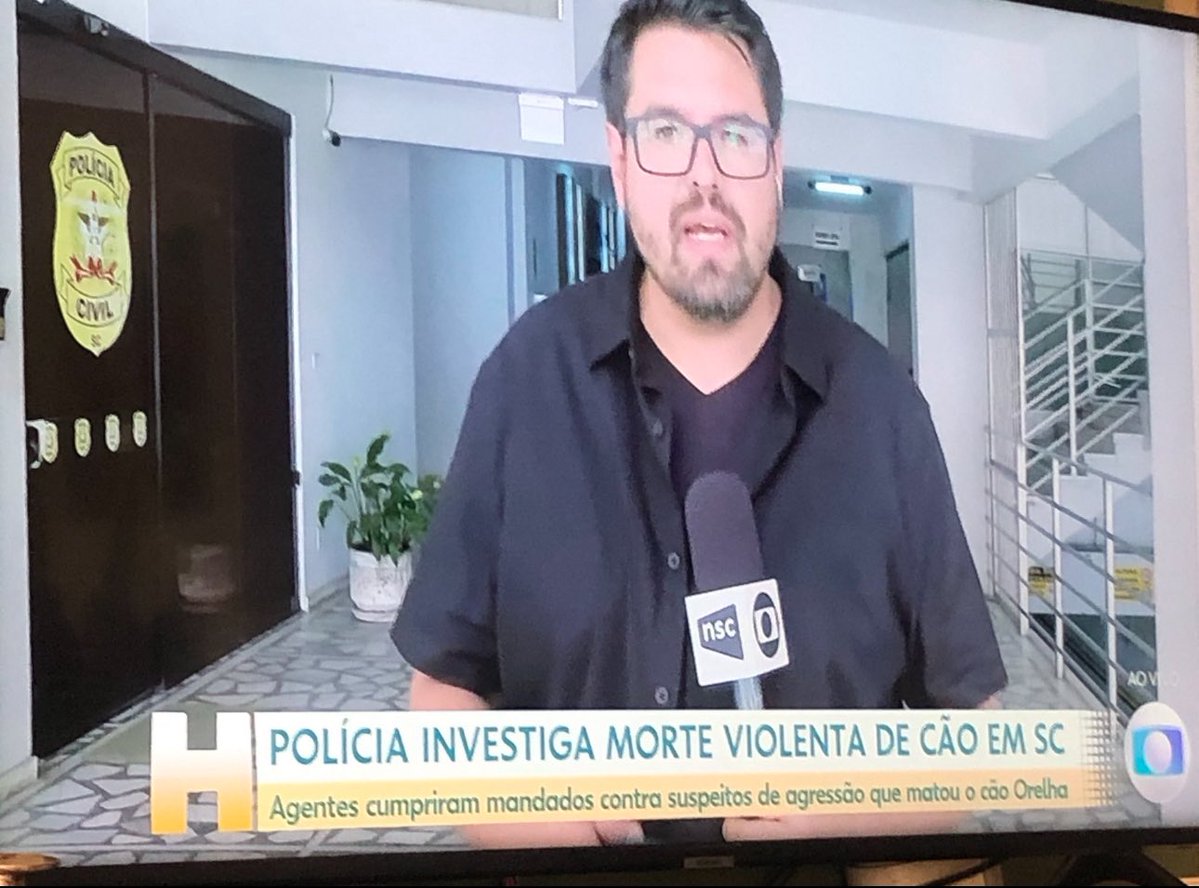 kaarolzx's tweet image. 🚨 Enfim a REDE GLOBO noticiou e deu uma informação nova: 
2 pais dos “supostos” assassinos do Orelha estão respondendo sobre a tentativa de abafar o caso e ja teve busca e apreensão. Segundo a Globo, 2 estão nos EUA e VOLTAM SEMANA QUE VEM. 
#JustiçaPorOrelha