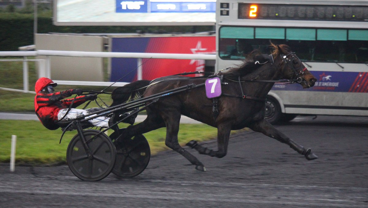 mondor44 tweet media