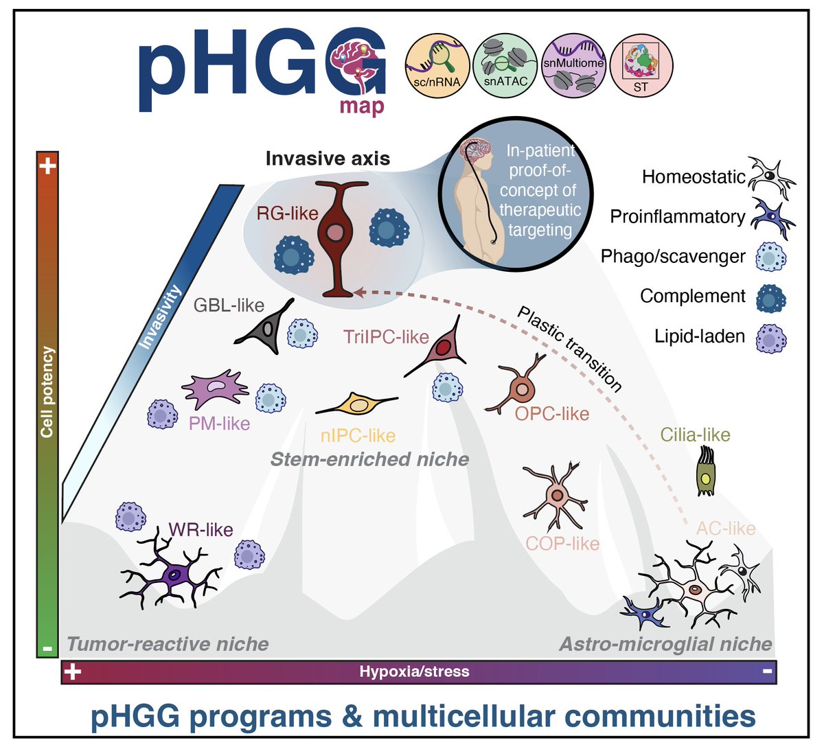 Cristian Ruiz Moreno tweet media