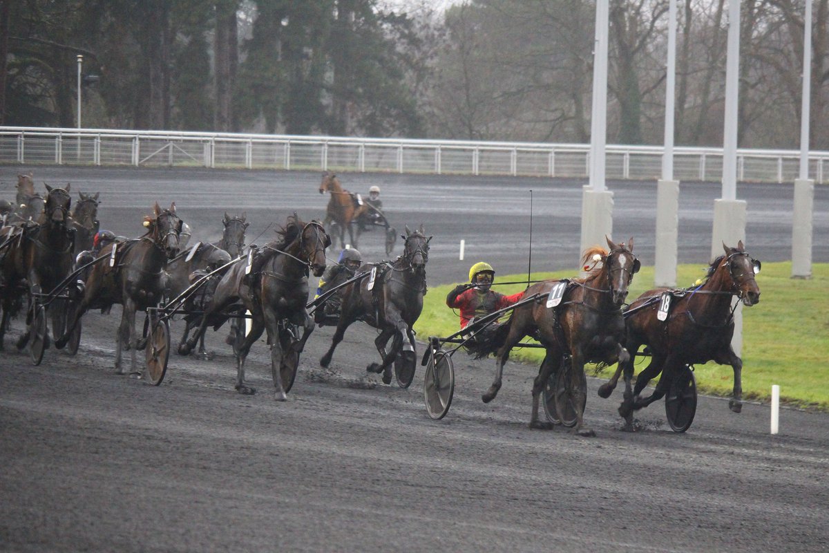 mondor44 tweet media