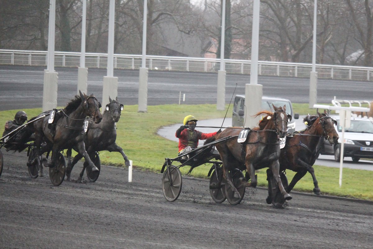 mondor44 tweet media