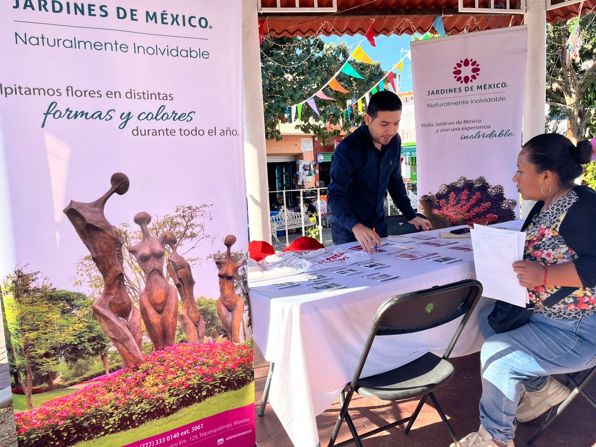 SNE Morelos tweet media