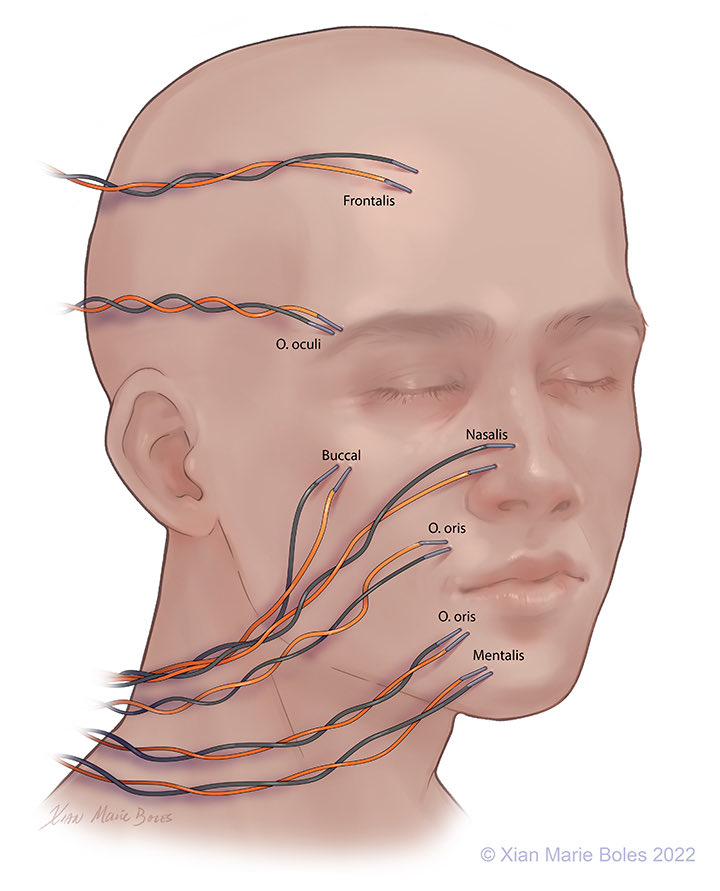 Abdulaziz M. Alghamdi tweet media