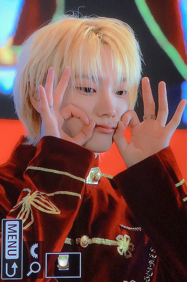 돼지기니피그야 사랑하다